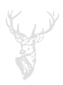 Logo Gasthof Pension Zum Hirsch