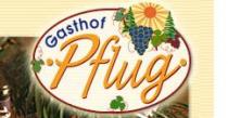 Logo Gasthof Pflug