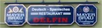 Logo Delfin