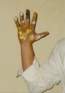 Logo Starmans Mandelhof