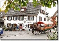 Logo Gasthaus zum Pflug