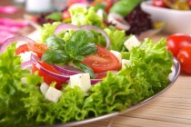 Logo Freiburger Salatstube