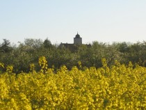 Logo Schloss Hallburg