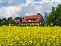 Logo Gasthaus Obermühle