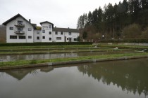 Logo Hotel Forellenzucht