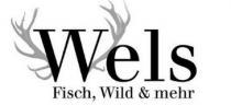 Logo Wels im Hotel Munte