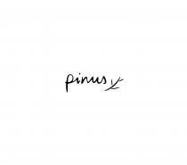 Logo pinus