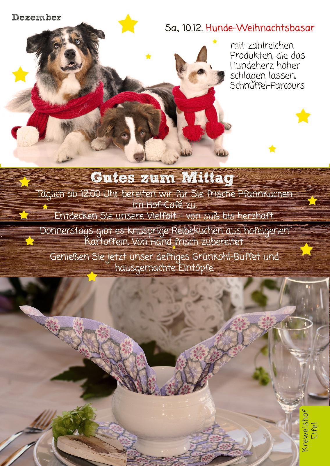 Programm Herbst/Winter