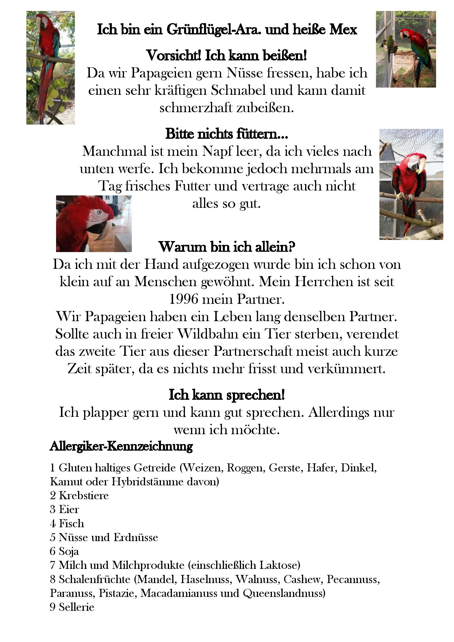 Speisekarte